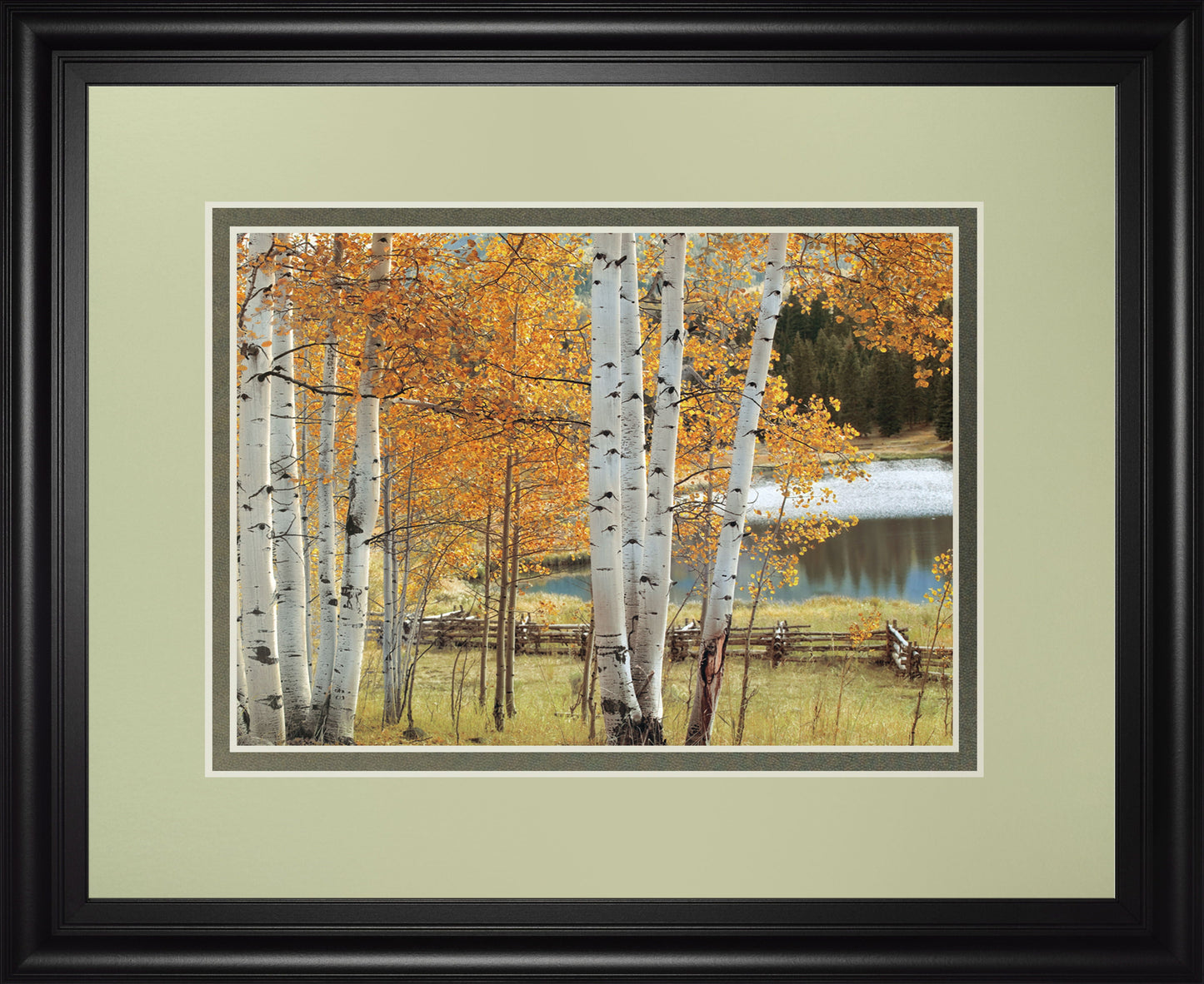 Birch Beauty By Mike Jones - Framed Print Wall Art - White Classy Art