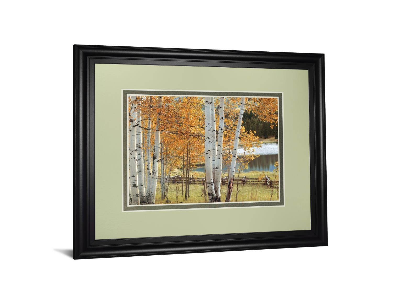 Birch Beauty By Mike Jones - Framed Print Wall Art - White Classy Art