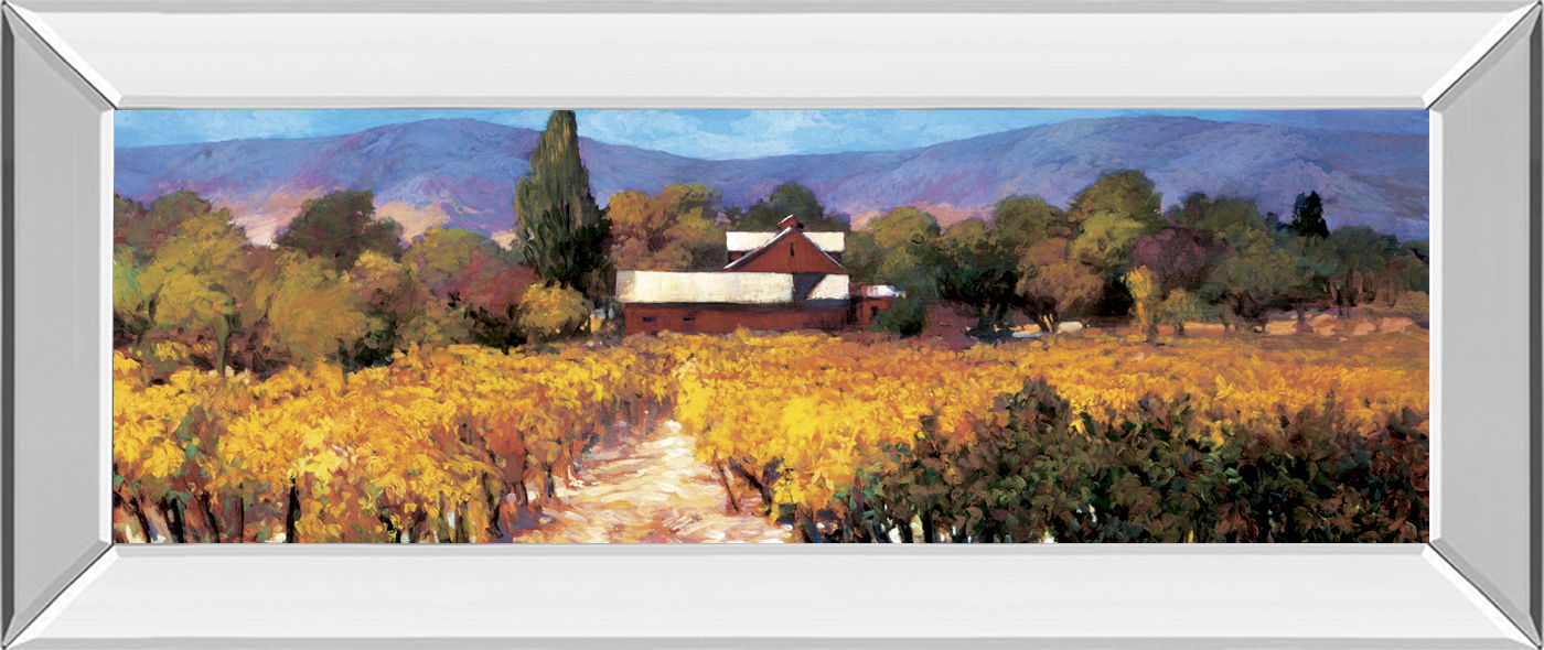 Vineyard Afternon By Craig P. - Mirrored Frame Wall Art - Yellow Classy Art