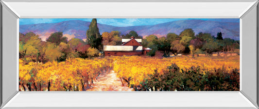 Vineyard Afternon By Craig P. - Mirrored Frame Wall Art - Yellow Classy Art