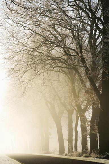 Fading Into The Light By Martin Podt (Small) - Beige Classy Art