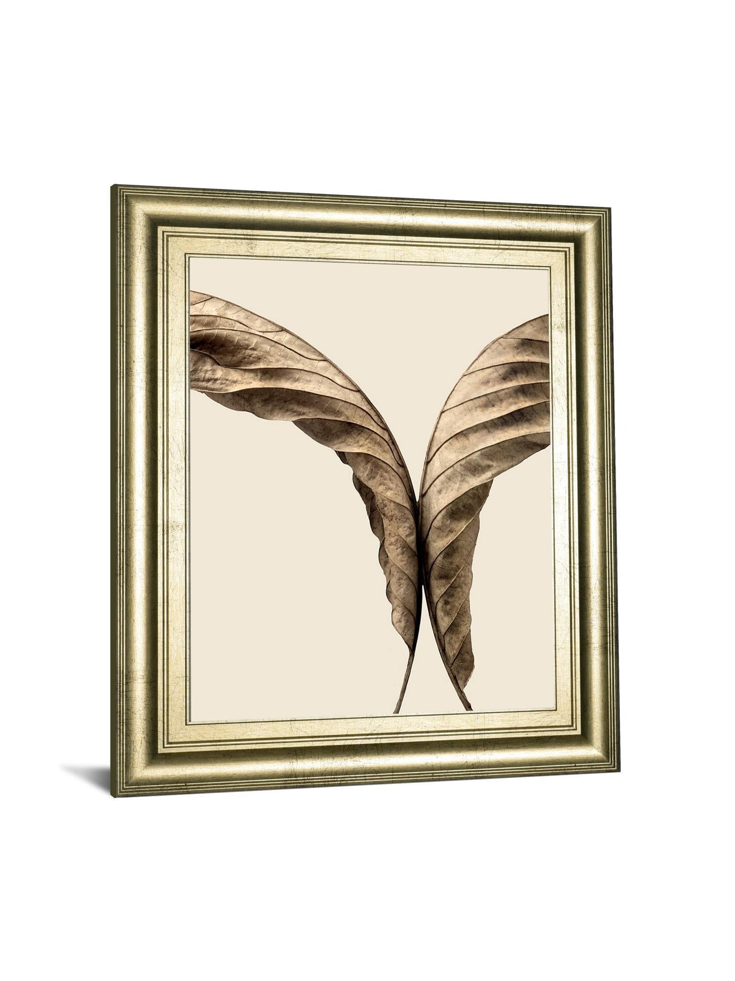 Turning Leaves Il By Jeff Friesen - Framed Print Wall Art - Dark Brown Classy Art