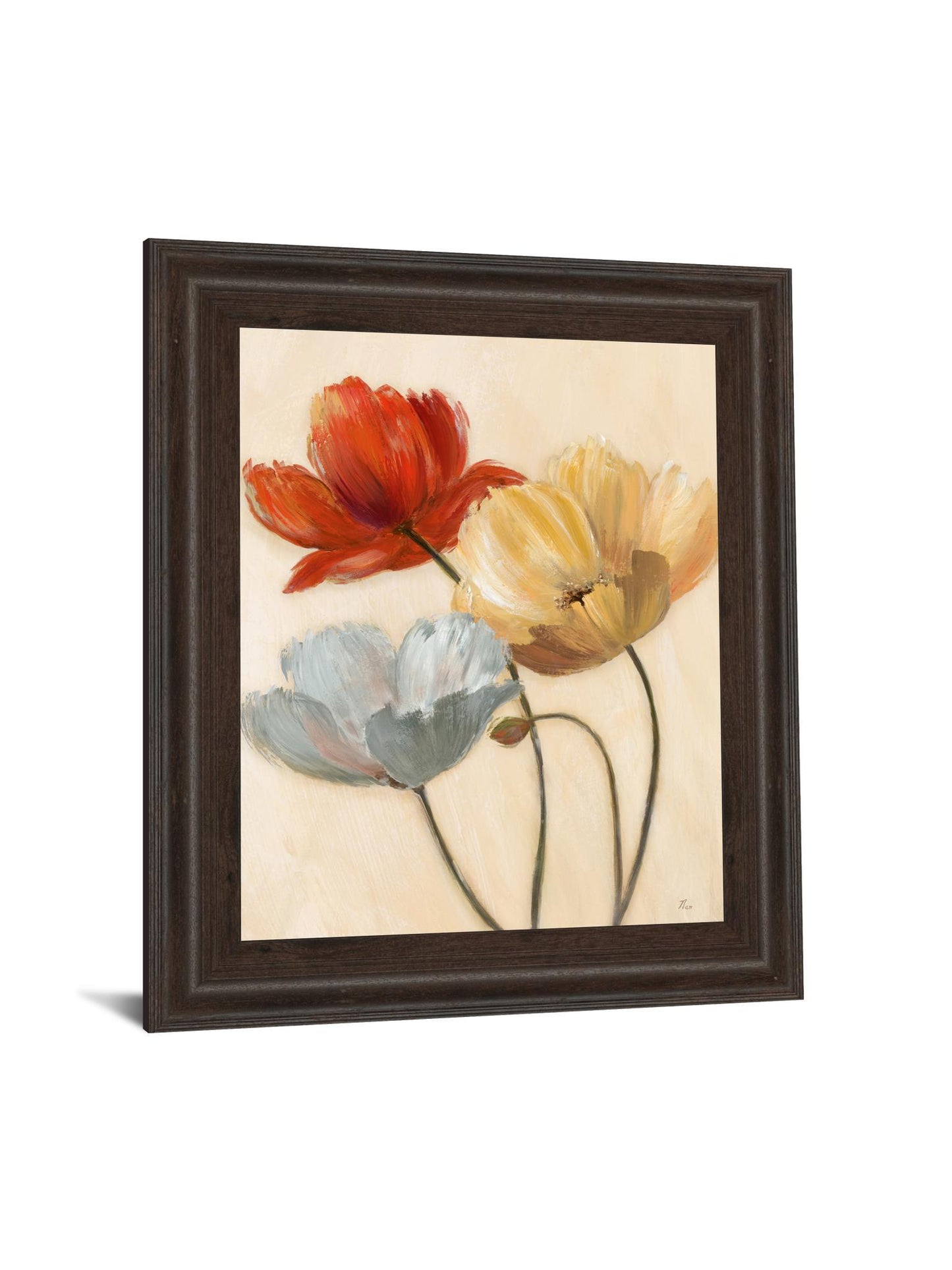 Poppy Palette Il By Nan - Framed Print Wall Art - Red Classy Art