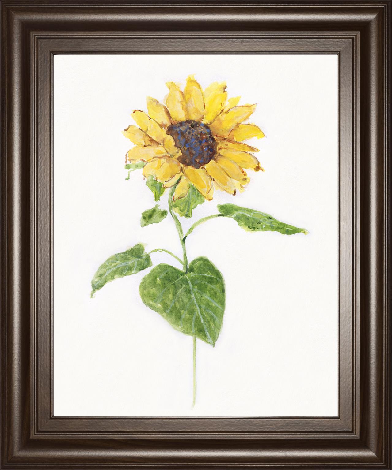 22x26 Sunflower I By Sally Swatland - Yellow Classy Art