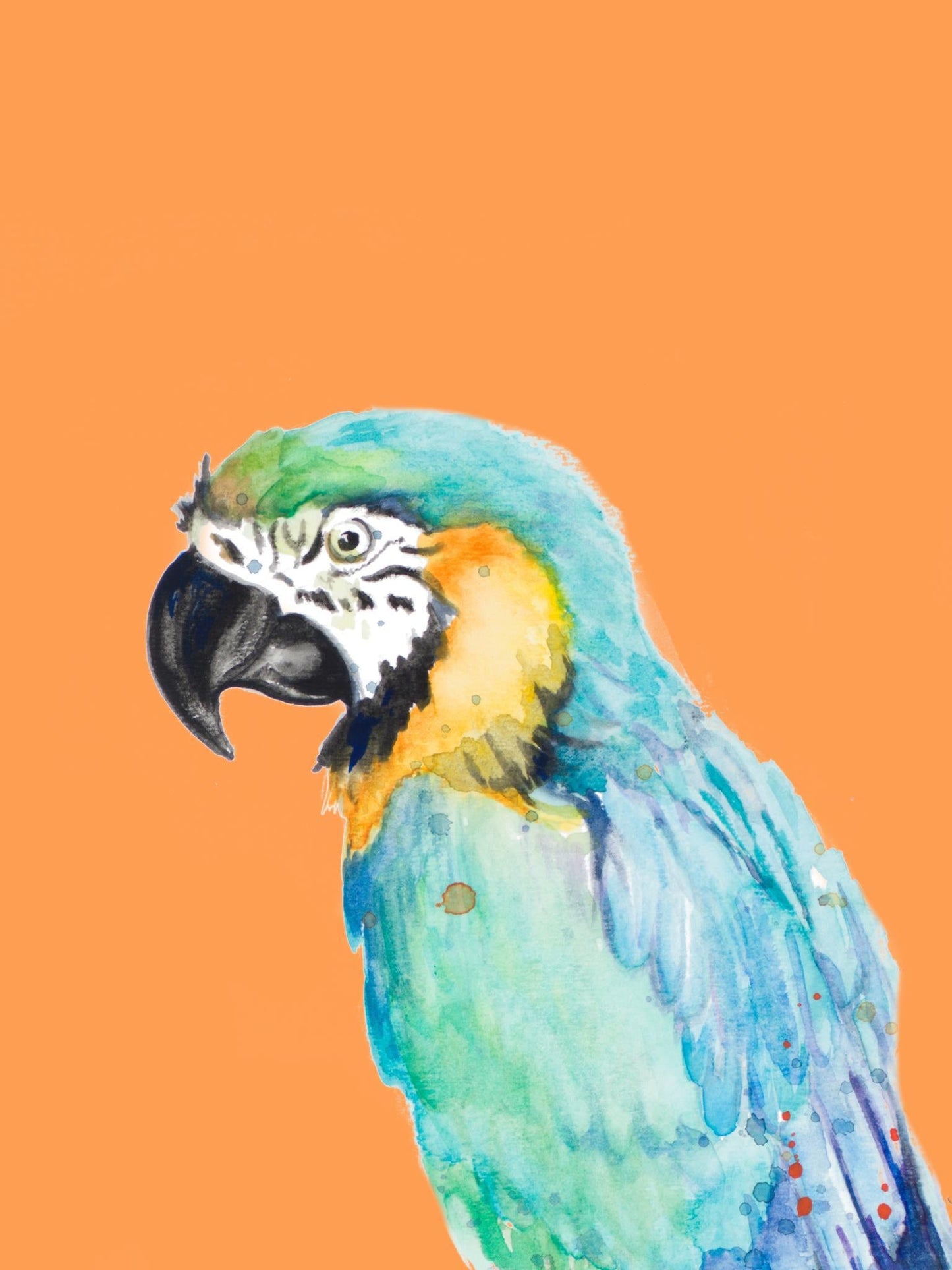 Parrot Portrait By Patricia Pinto - Light Blue Classy Art