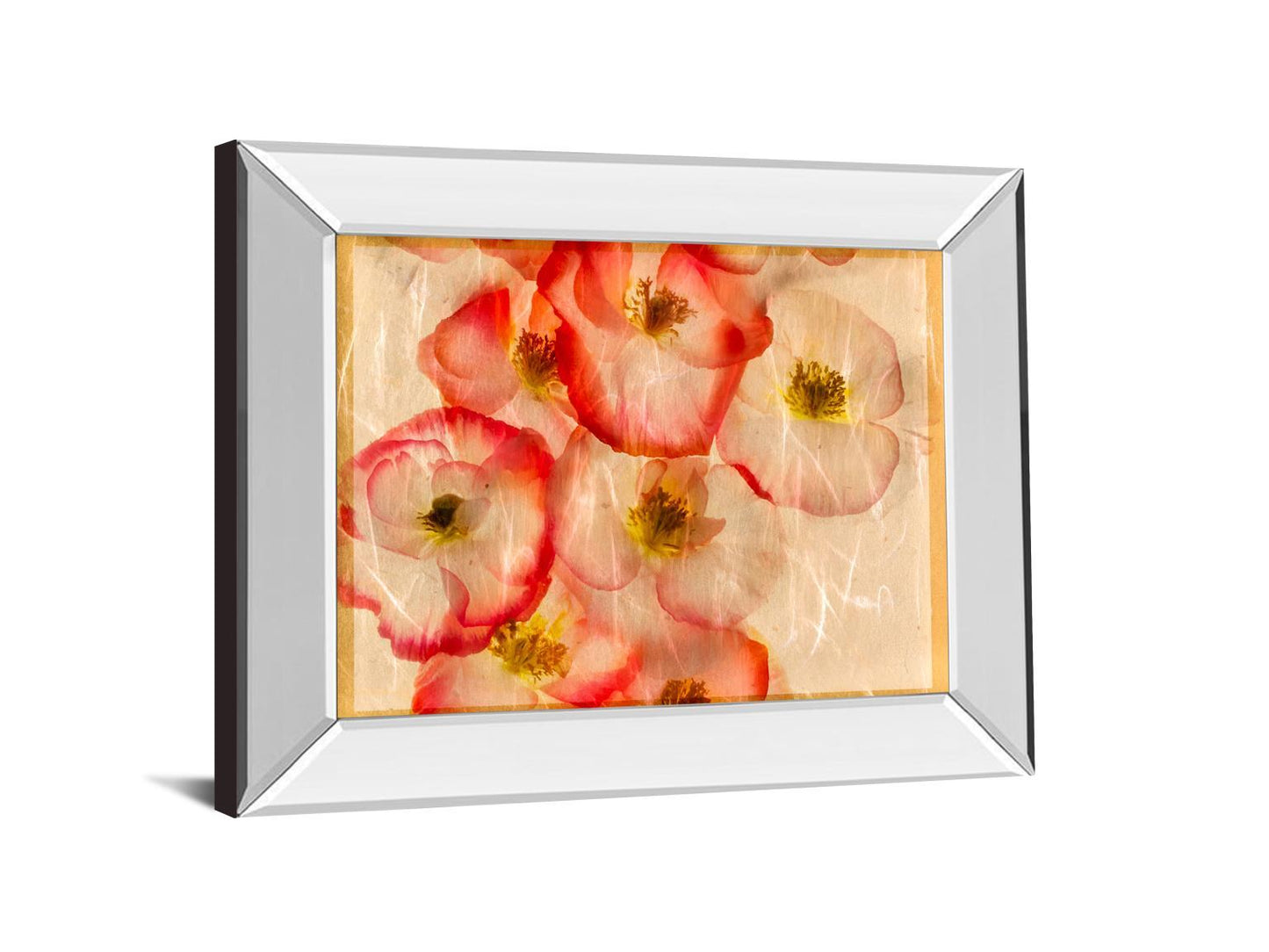 Papaver Dreams III By Harold Davis - Mirror Framed Print Wall Art - Red Classy Art