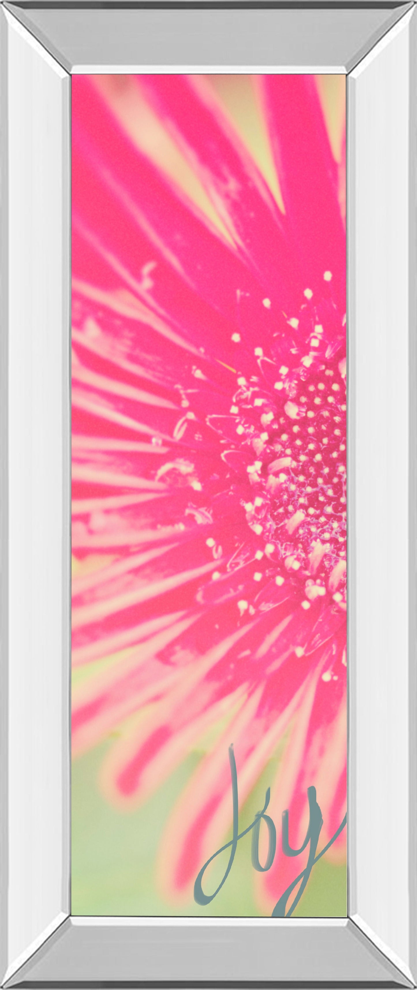 Joy Flower By Susan Bryant - Mirror Framed Print Wall Art - Pink Classy Art