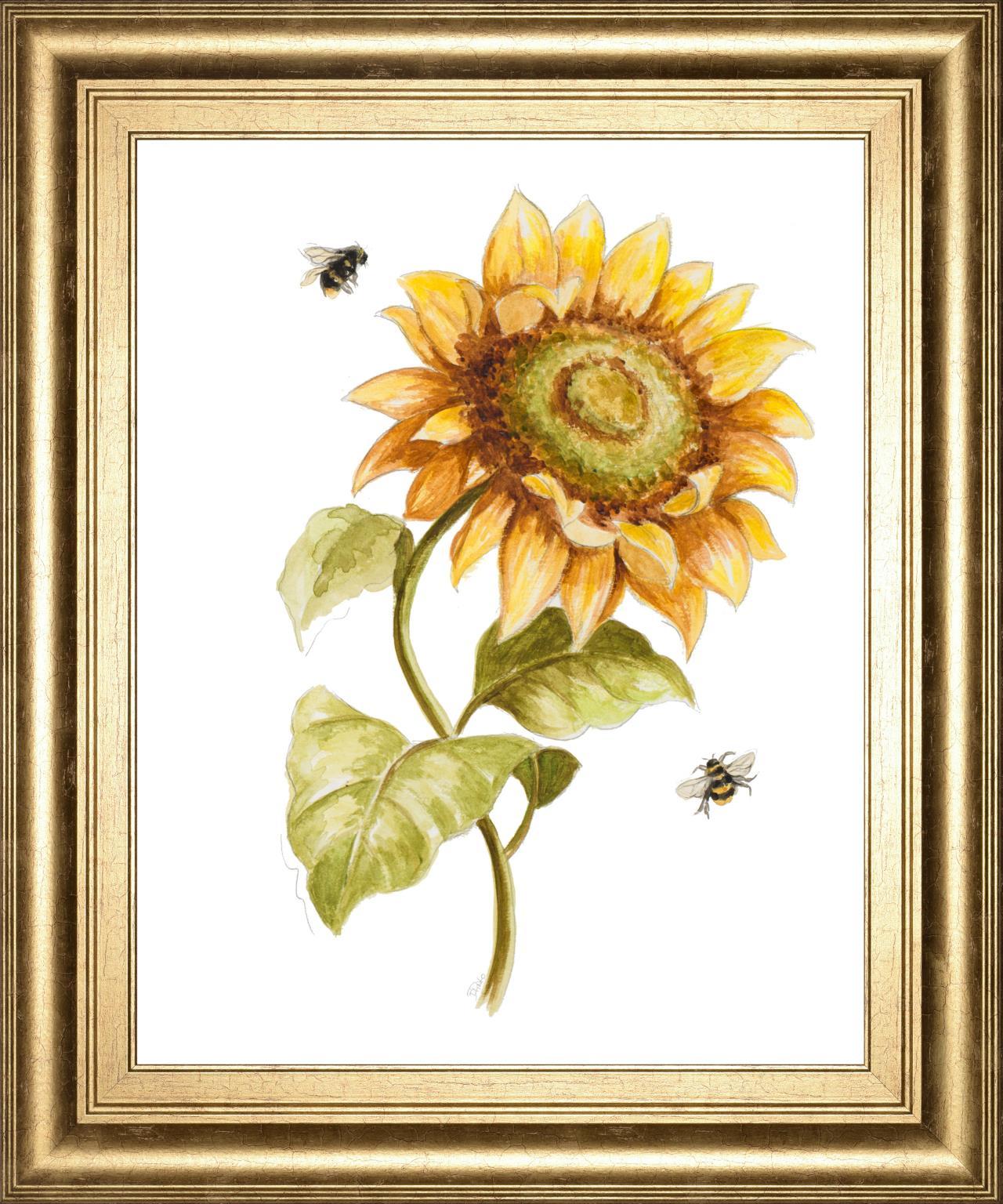 22x26 Harvest Gold Sunflower II By PatriciaPinto - Yellow Classy Art