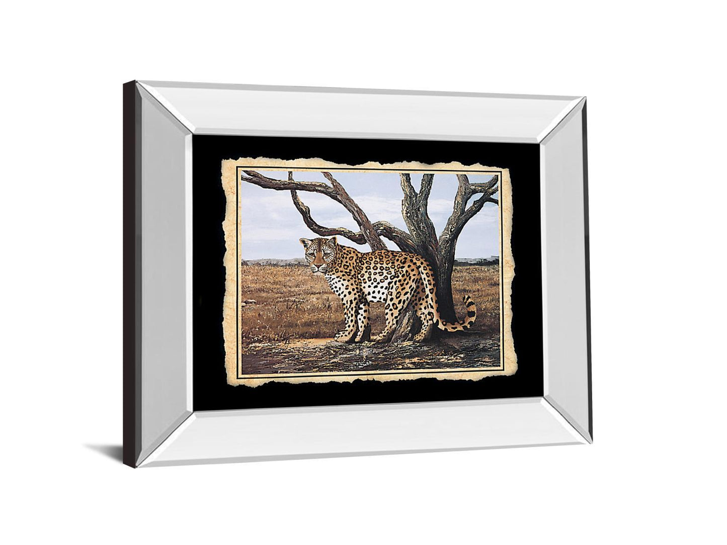 Cheetah - Mirror Framed Print Wall Art - Beige Classy Art