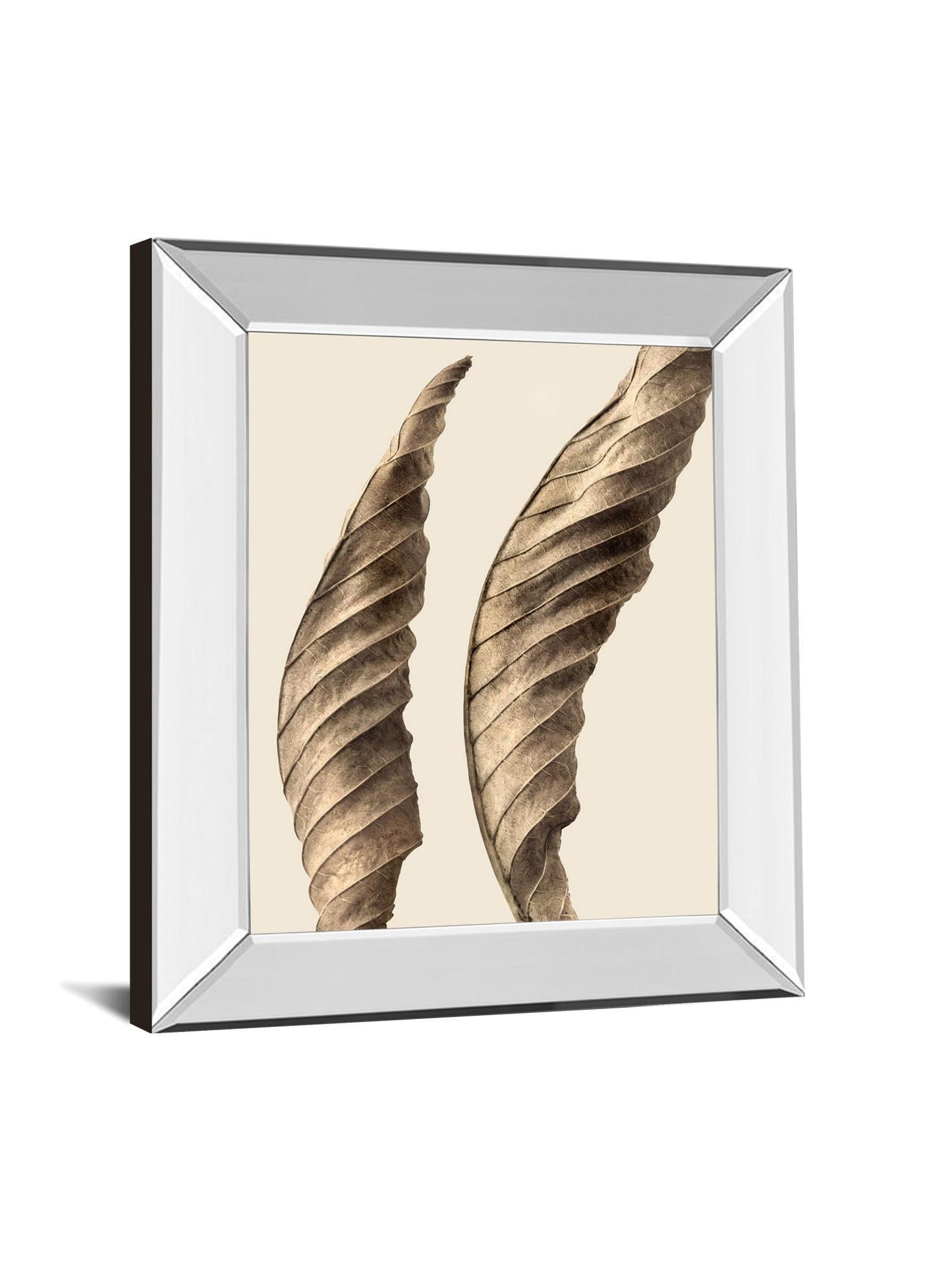 Turning Leaves I By Jeff Friesen - Mirror Framed Print Wall Art - Dark Brown Classy Art