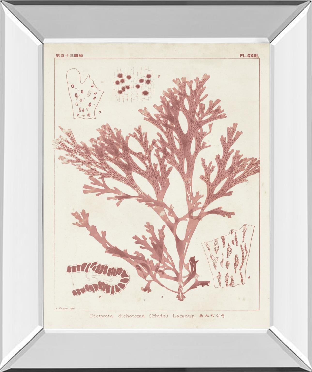 Antique Coral Seaweed I By Vision Studio - Pink Classy Art