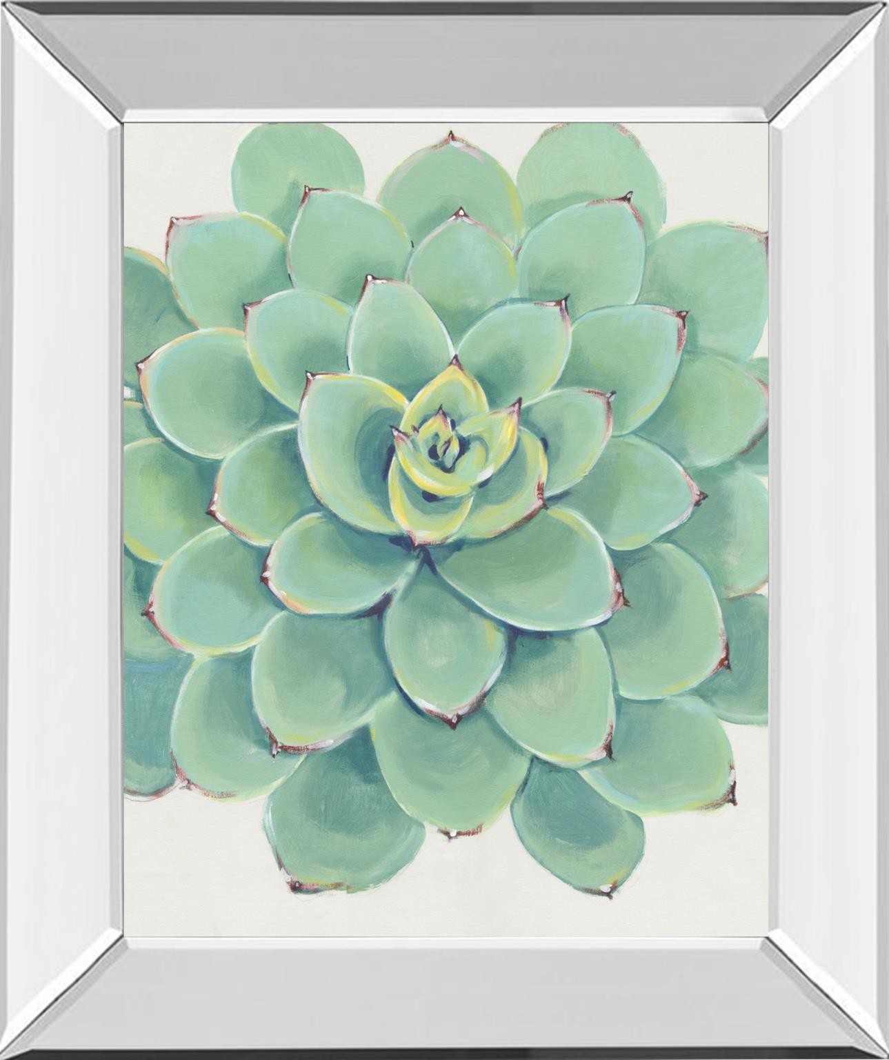 Pastel Succulent III By Tim OToole - Green Classy Art