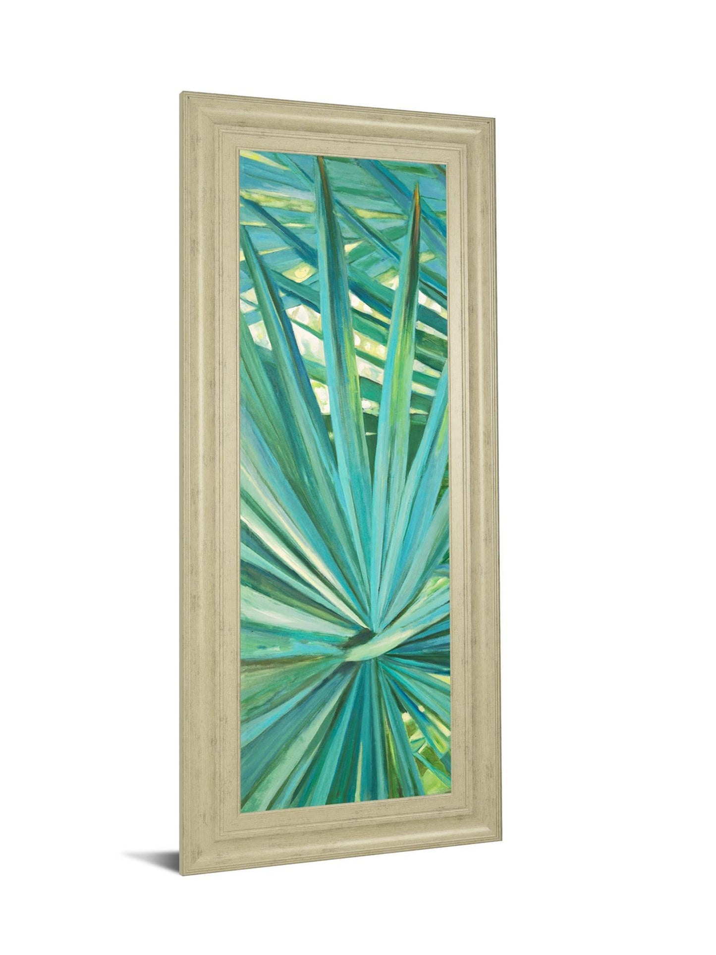 Fan Palm I By Suzanne Wilkins - Framed Print Wall Art - Green Classy Art