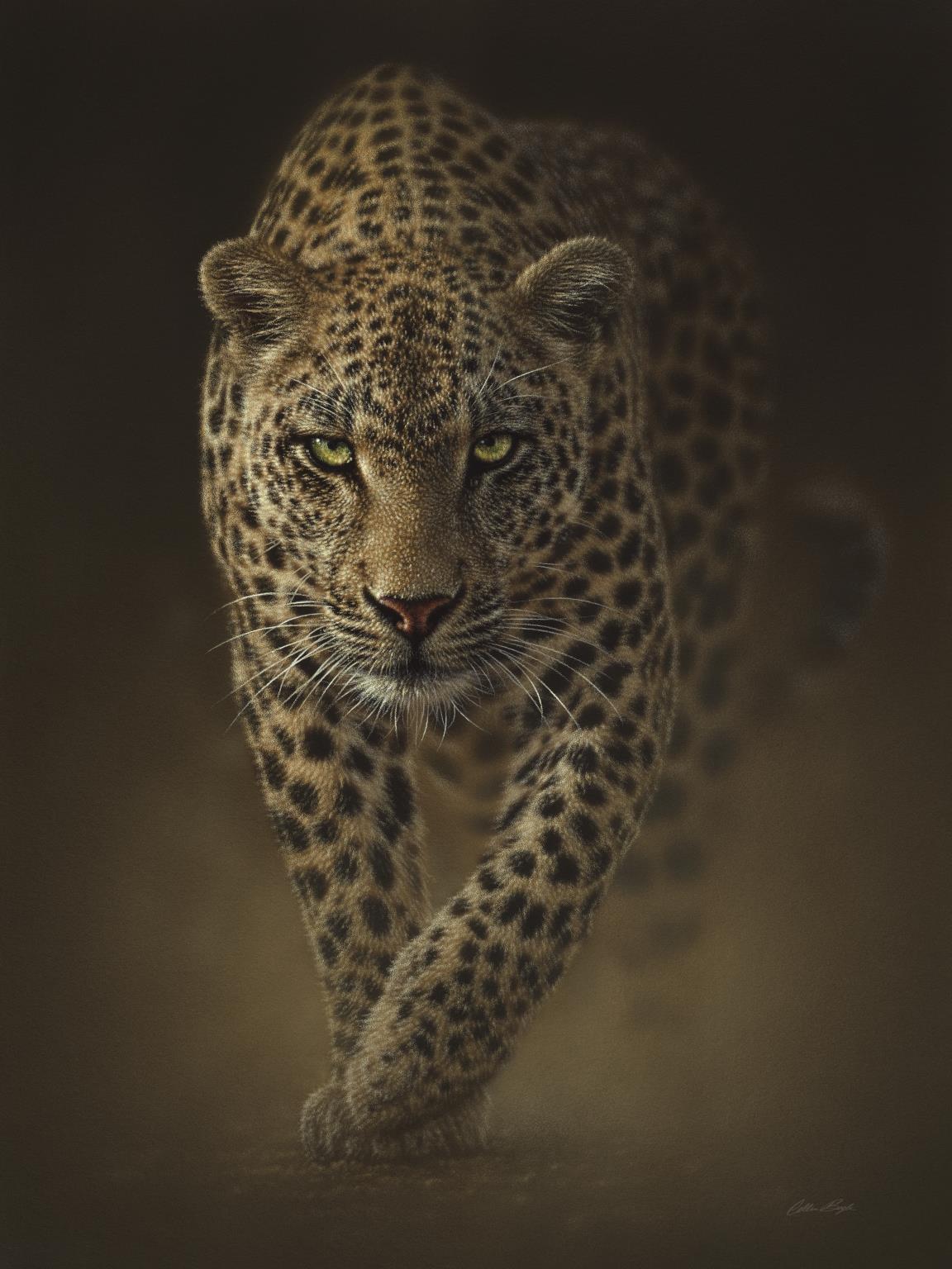 Small - Leopard By Collin Bogle - Dark Brown Classy Art