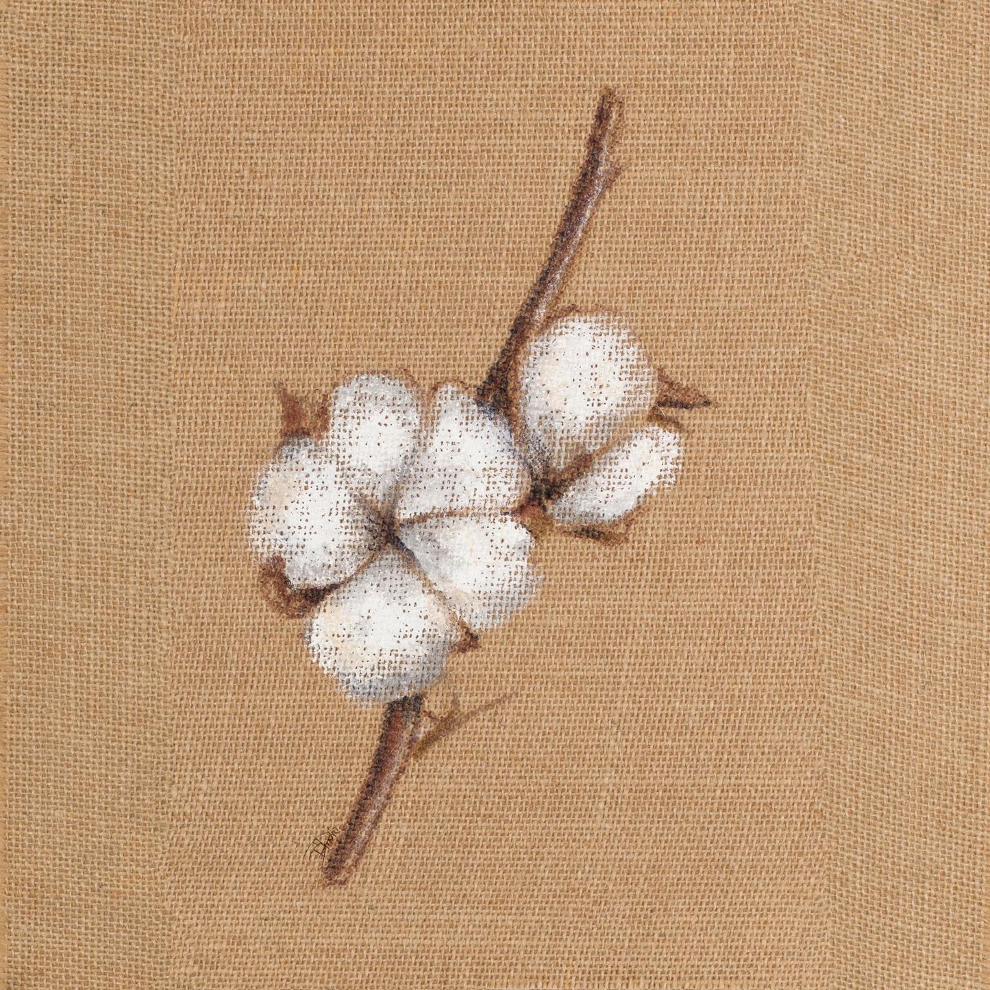 Cotton Branch II By Patricia Pinto - Light Brown Classy Art