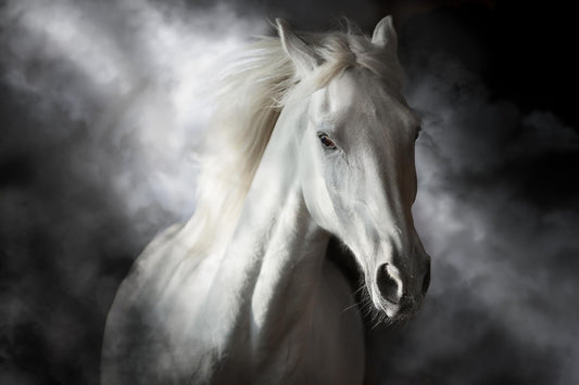 Tempered Glass With Foil - Mystical White Horse - Dark Gray Classy Art