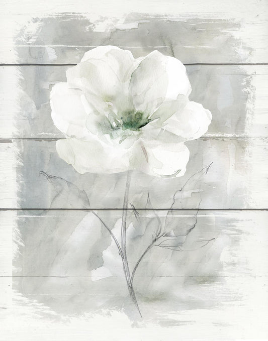 Small - Farmhouse Rose I By Carol Robinson - Pearl Silver Classy Art