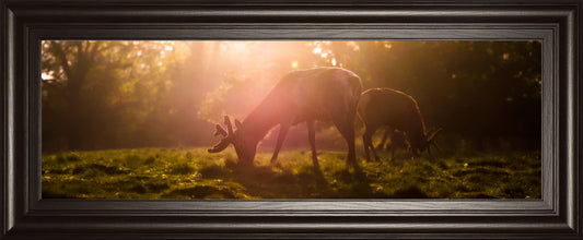 Morning Haze By Joe Reynolds Wall Art - Dark Brown Classy Art