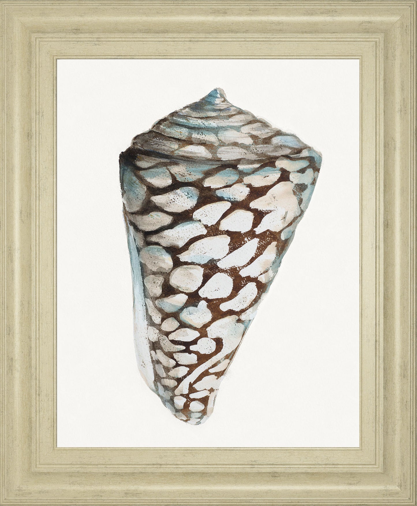 Modern Shell With Teal Il By Patricia Pinto - Framed Print Wall Art - White Classy Art