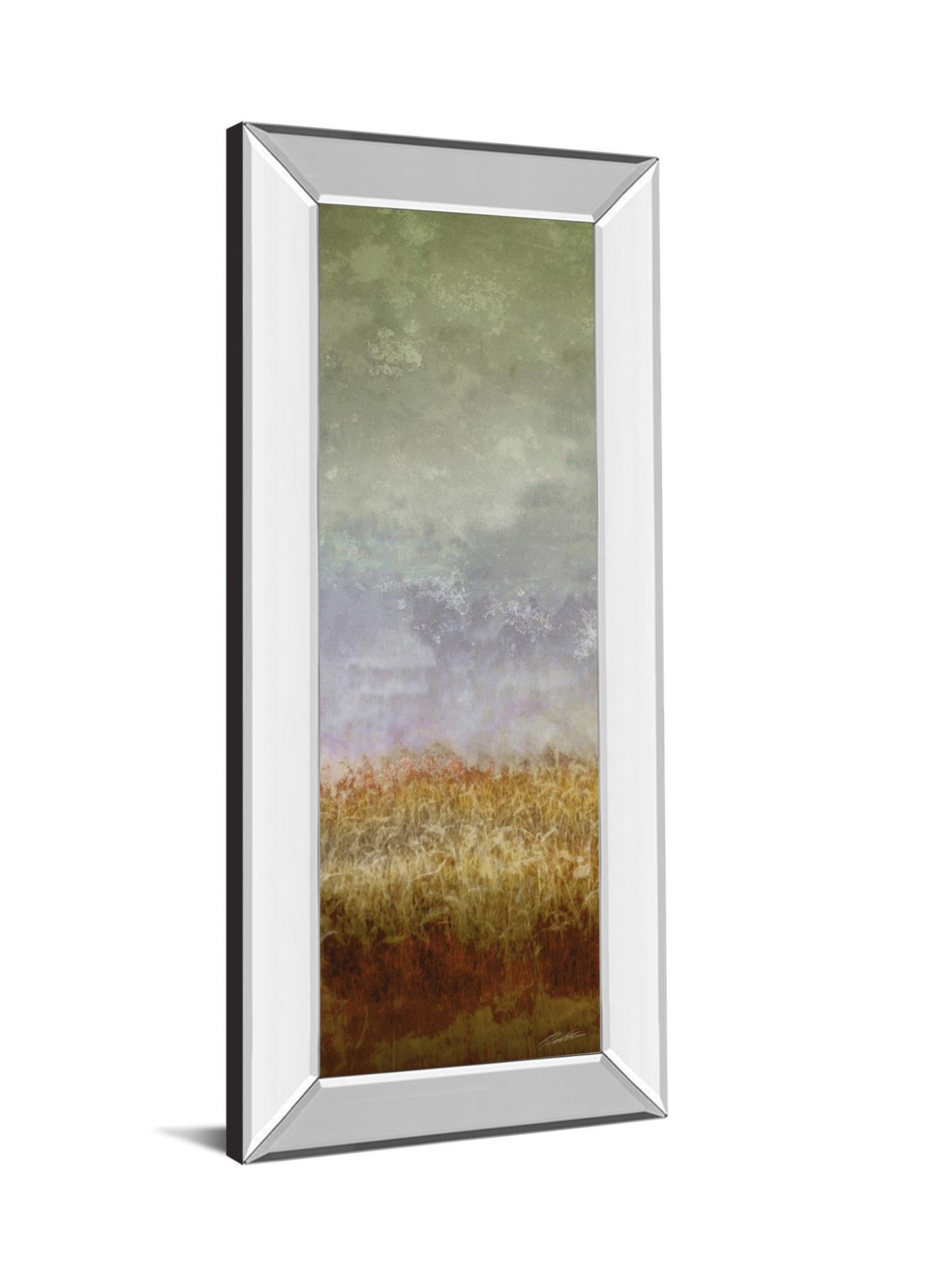 Lush Field Il By John Butler - Mirror Framed Print Wall Art - Dark Gray Classy Art