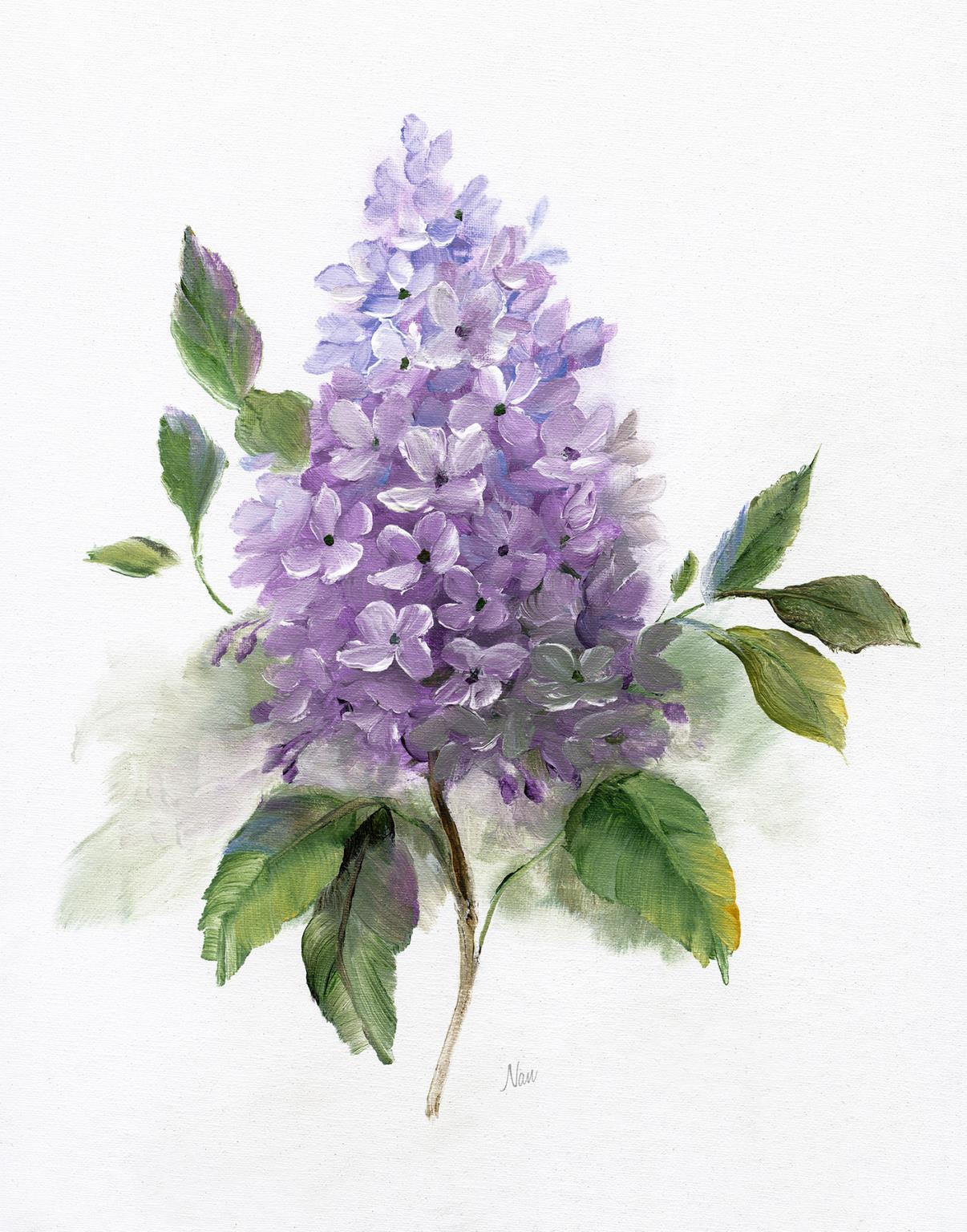 Small - Lilac Romance I By Nan - Purple Classy Art