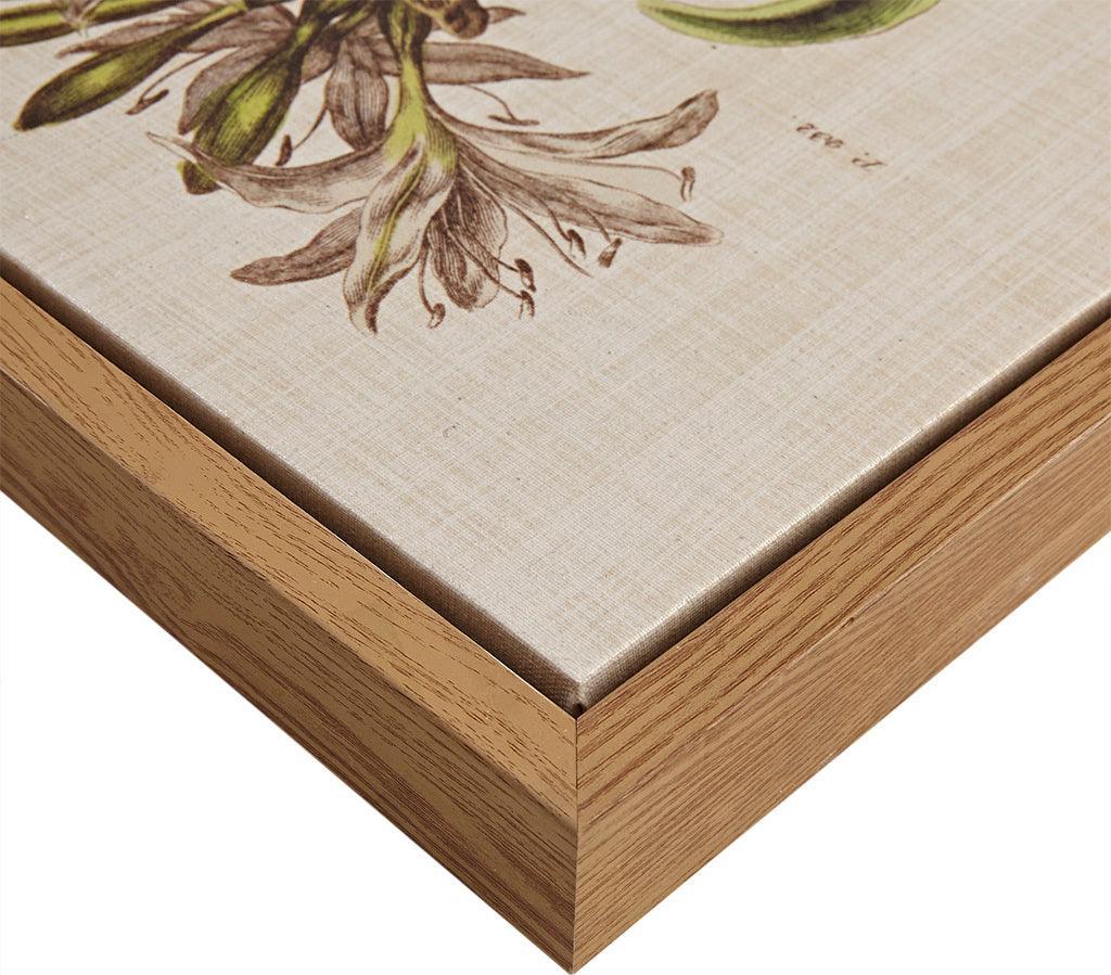 Herbal Botany Framed Linen Canvas 4 Piece Set Green Olliix.com