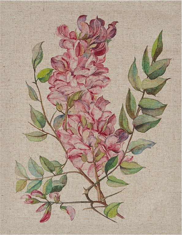 Linen Botanicals Printed Linen Canvas Multicolor (  Set of 3) Olliix.com