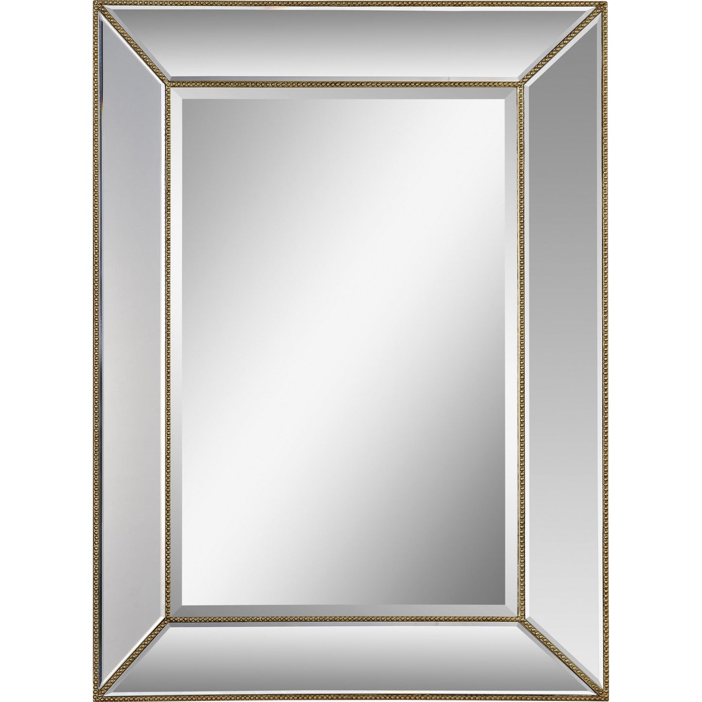 RenWil DELANO Rectangle Mirror NDD221M052 RenWil