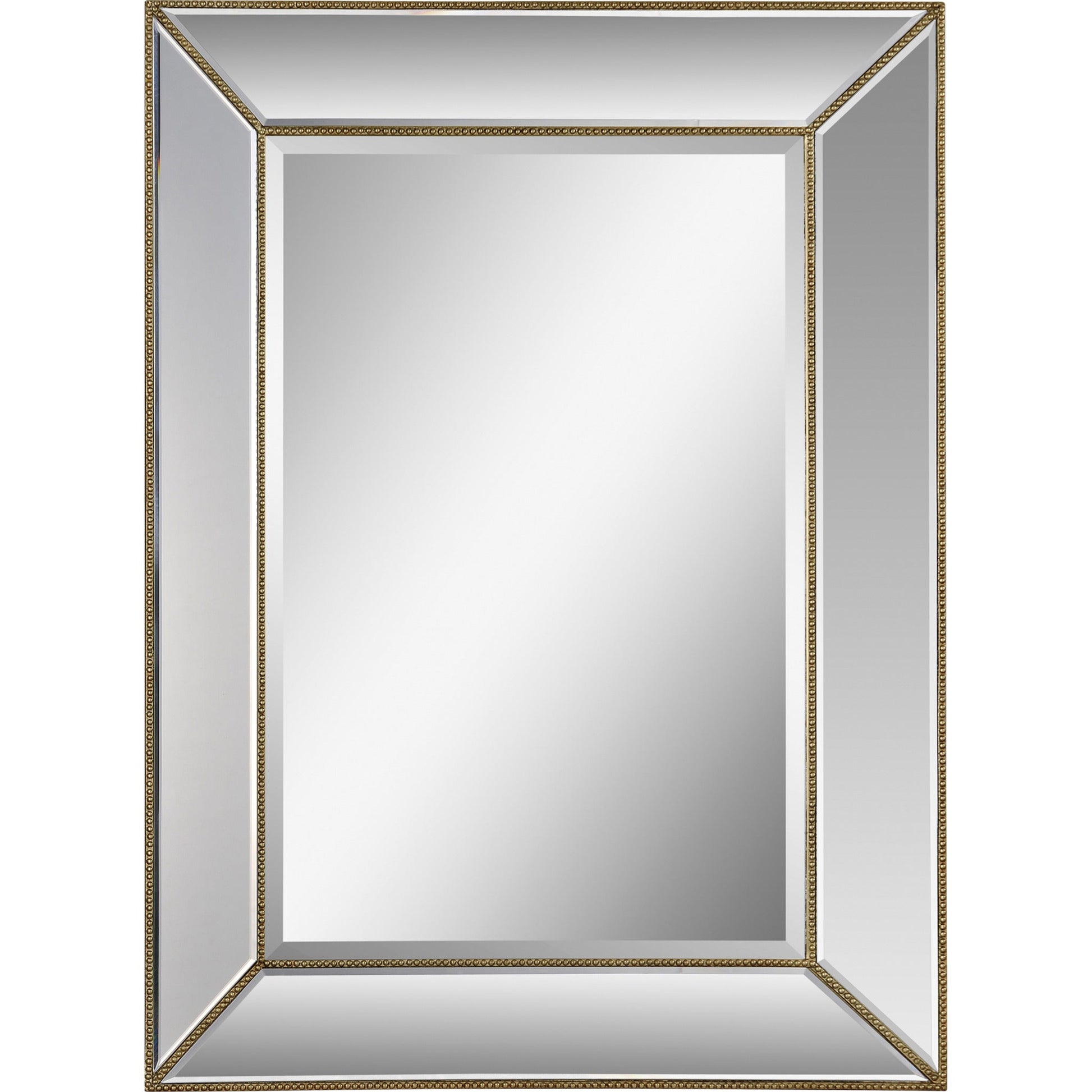 RenWil DELANO Rectangle Mirror NDD221M052 RenWil