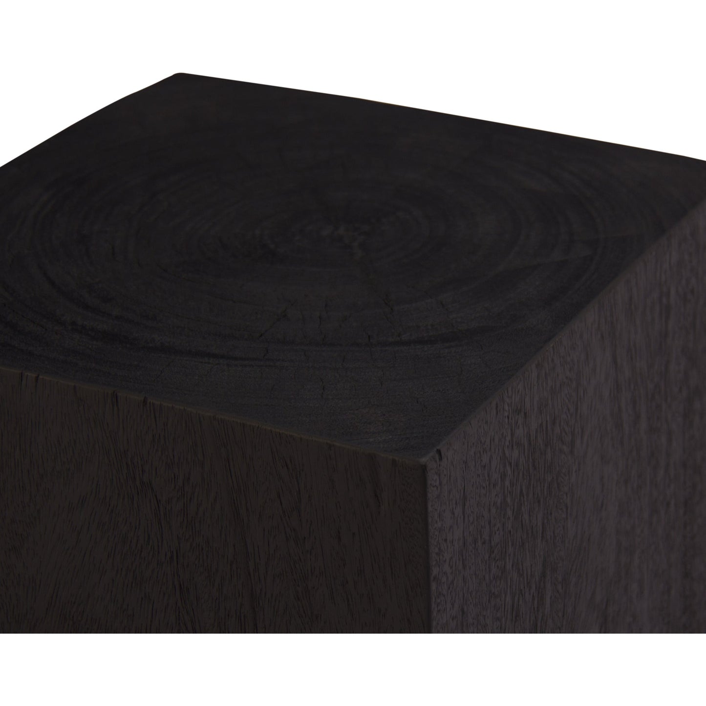 RenWil Congaree Side Table TA442 RenWil