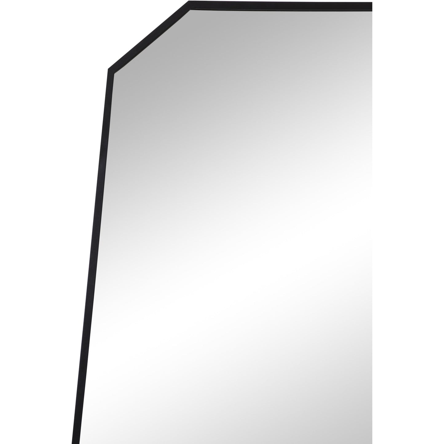 RenWil Pablo Irregular Mirror NDD221M040 RenWil